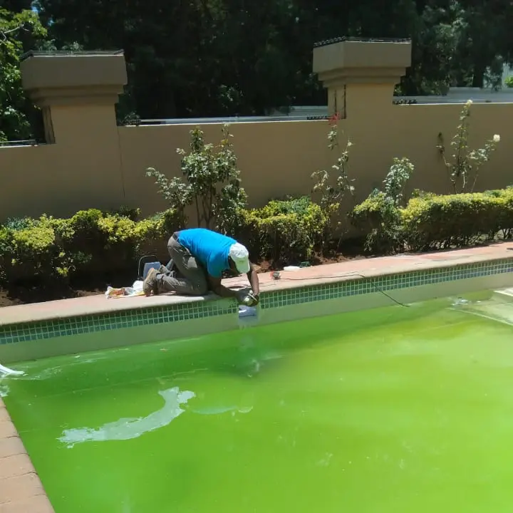 Quick Pool Services Gallery's 